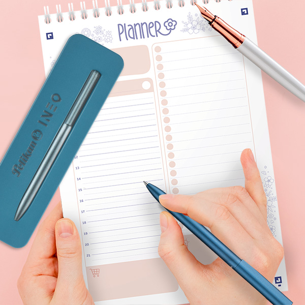 Escritura Profesional